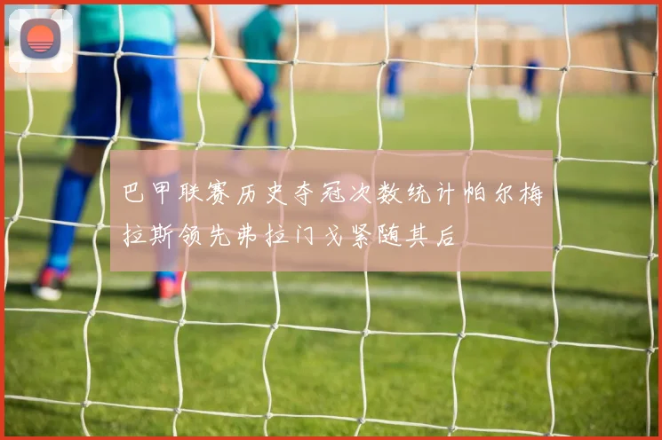 巴甲联赛历史夺冠次数统计帕尔梅拉斯领先弗拉门戈紧随其后