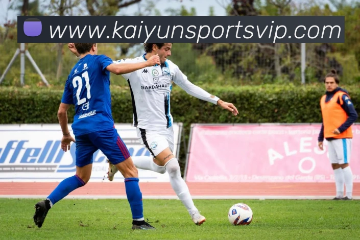 App Interface Preview